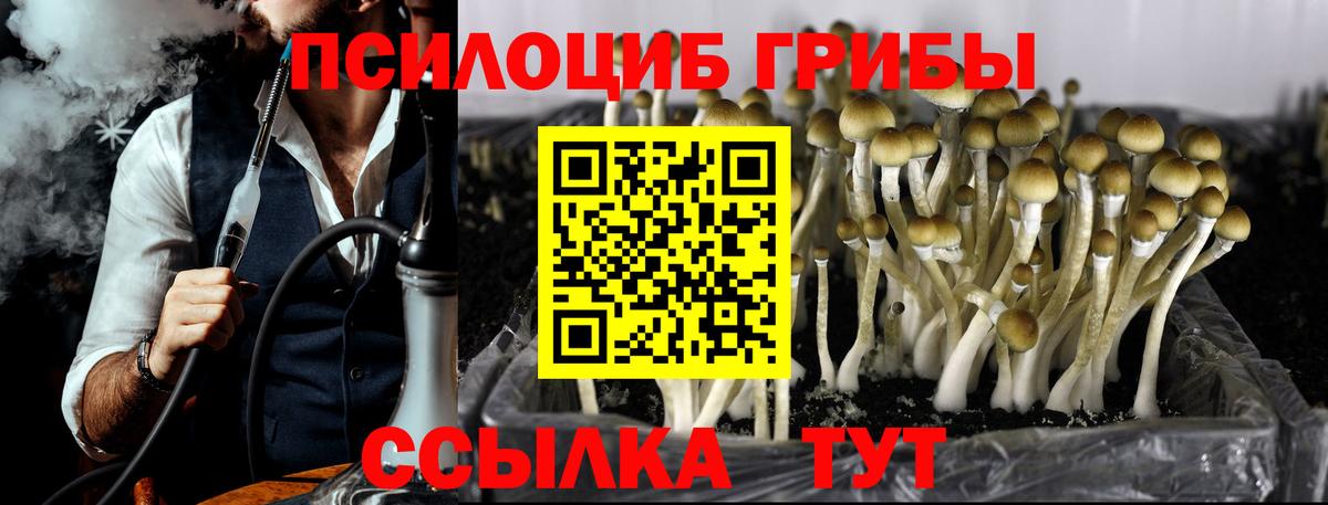 даркнет сайт  Псилоцибиновые грибы мицелий  Вход с VPN  Кубинка 